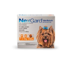 Nexgard dog (2 - 4 kg)