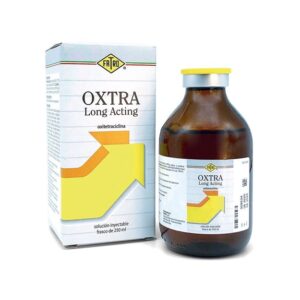 Oxtra LA