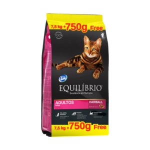 Equilibrio gato